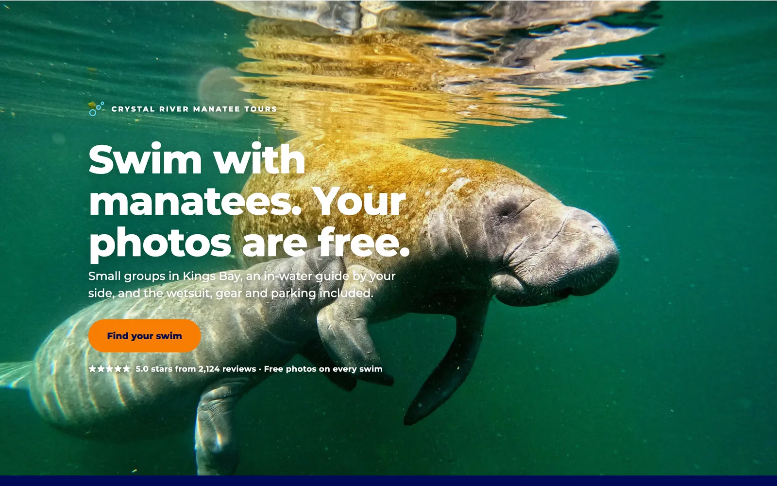 Home page of a manatee swim website on a laptop: a manatee underwater, a white headline and an orange button