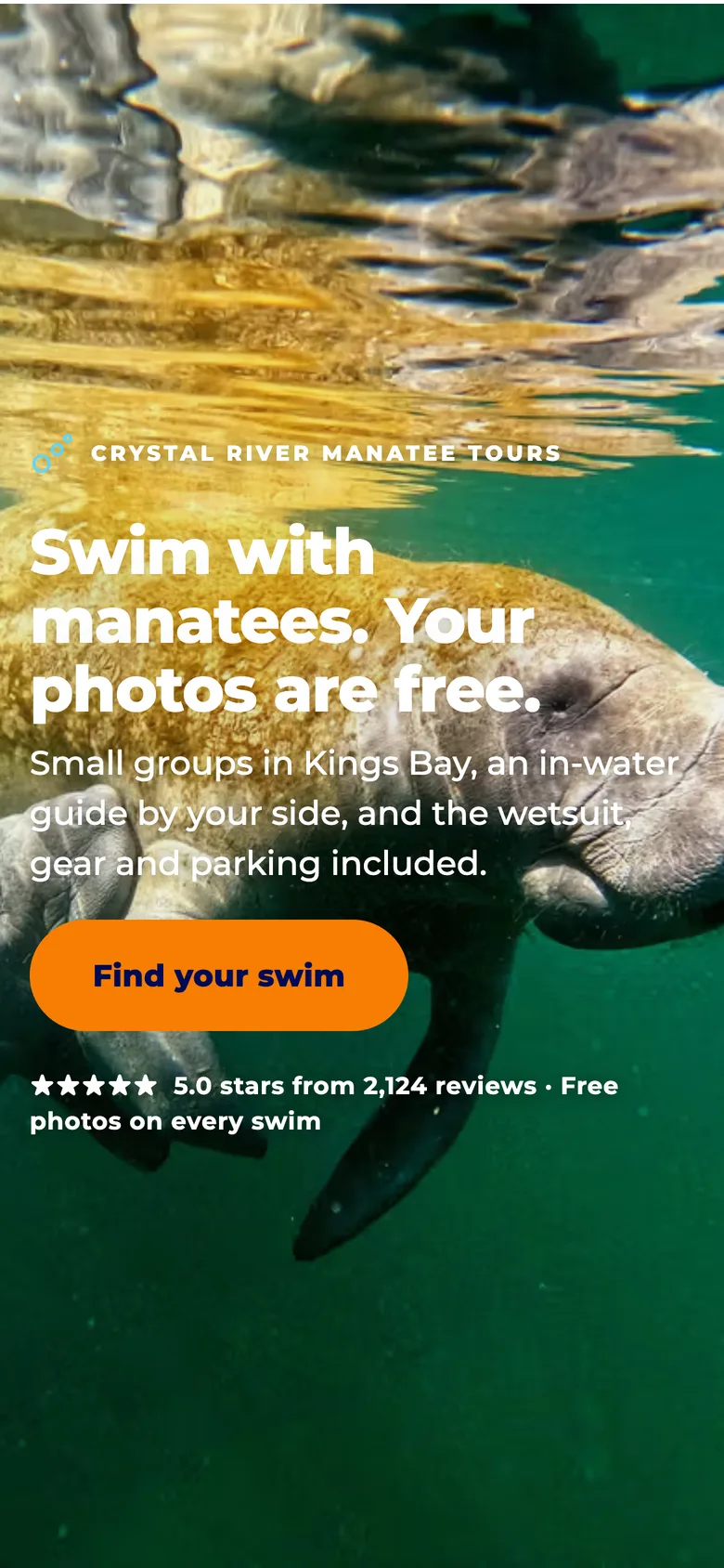 The same manatee swim home page in its phone layout