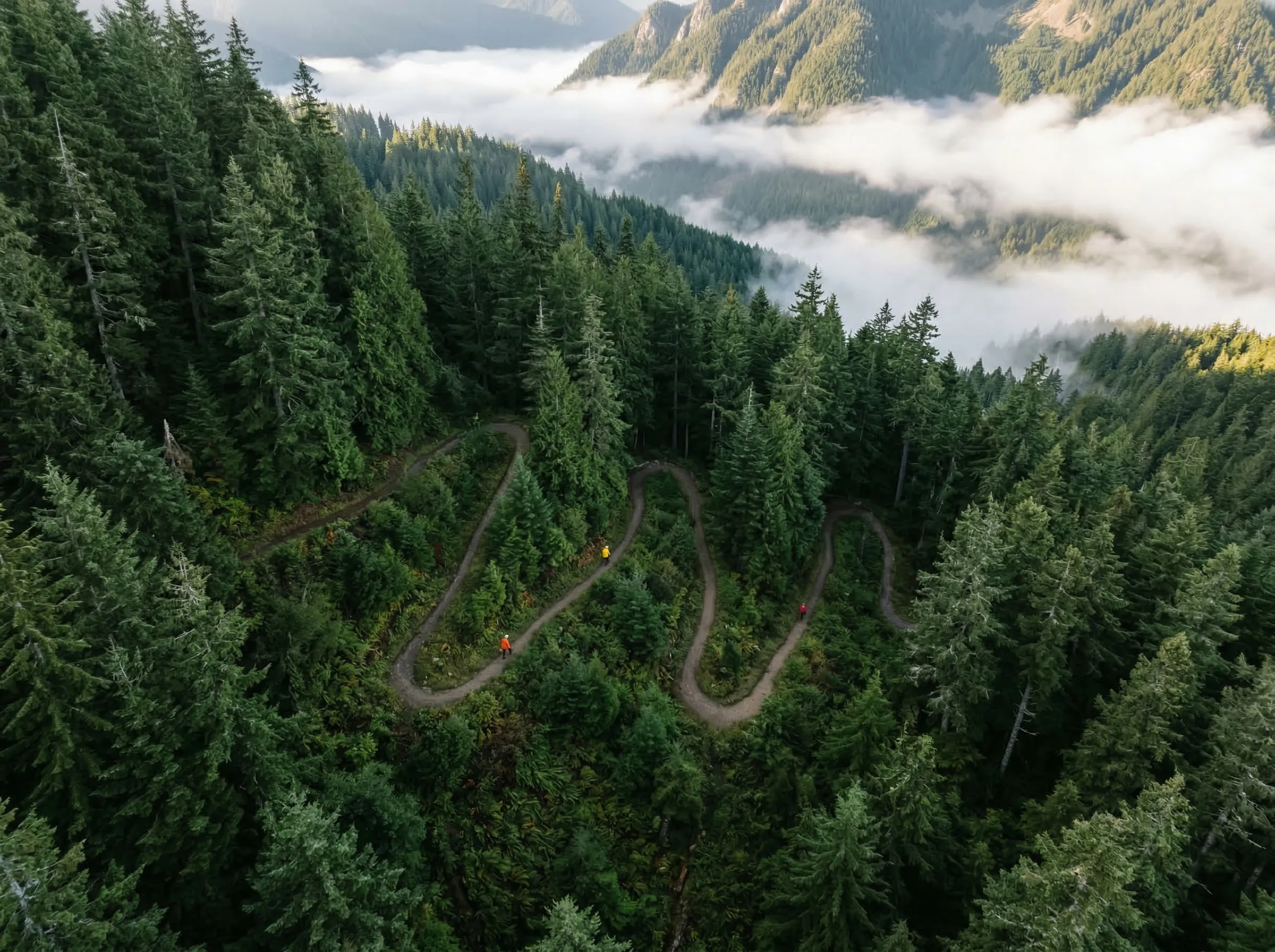 Show Up When They Search "[Area] Hiking Tours"