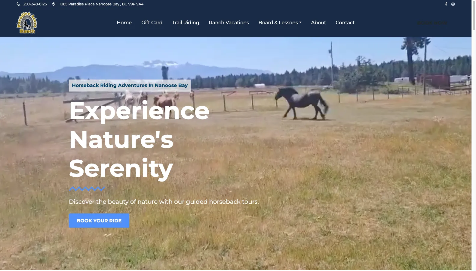 Paradise Acres Ranch website screenshot